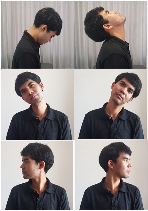 รูปที่ 1 การเคลื่อนไหวคอในทิศก้ม-เงย (บน) เอียงคอขวา-ซ้าย (กลาง) หมุนคอไปทางขวา-ซ้าย (ล่าง)