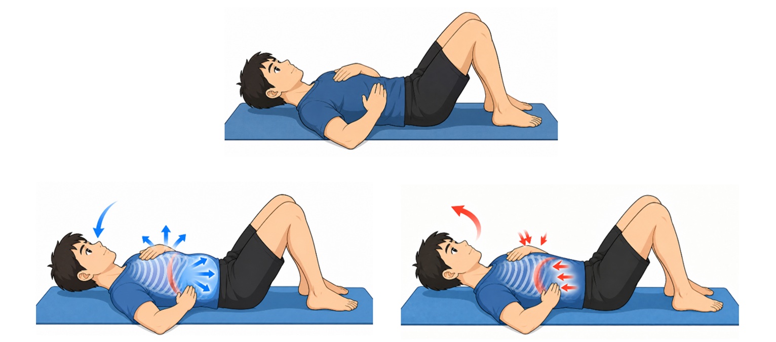 รูปที่ 2 การหายใจด้วยกระบังลม (diaphragmatic breathing)